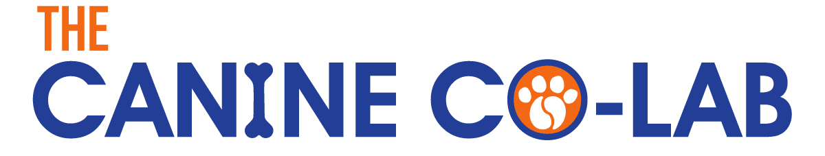 Logo of "The Canine Co-Lab" featuring the words in bold blue and orange text. The letter "I," stylized as a bone, nods to its veterinary roots, while the "O" in "Co-Lab" charms with a paw print.
