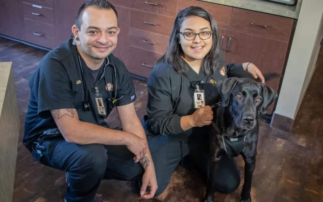 Two veterinary staff members in black uniforms are smiling at the camera while kneeling next to a black dog wearing a harness. The friendly vets are indoors, surrounded by wooden cabinets and a counter in the background, showcasing their welcoming clinic environment.