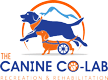Logo of "The Canine Co-Lab" features two dogs, one running and the other in a wheelchair, symbolizing both joy and care. A mountain outlines the top. The text reads "The Canine Co-Lab Recreation & Rehabilitation." Colors are primarily blue and orange, reflecting a veterinarian’s nurturing spirit.