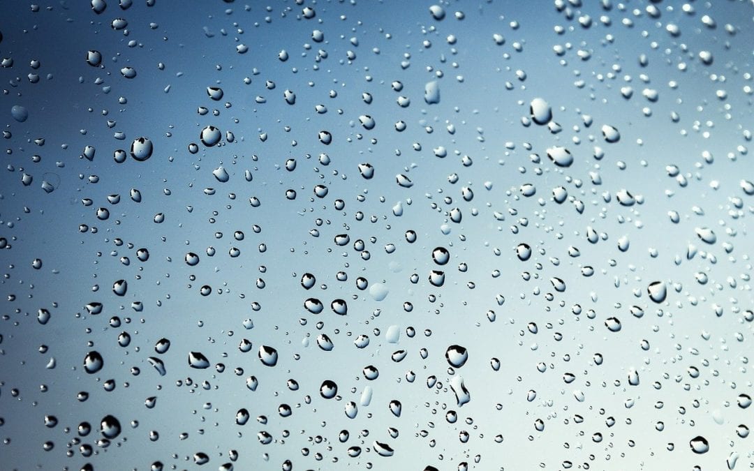 Raindrops scattered on a glass window against a cloudy blue sky background, resembling the gentle pattern of paw prints a veterinarian might notice. The varying sizes of droplets create a textured and serene pattern.
