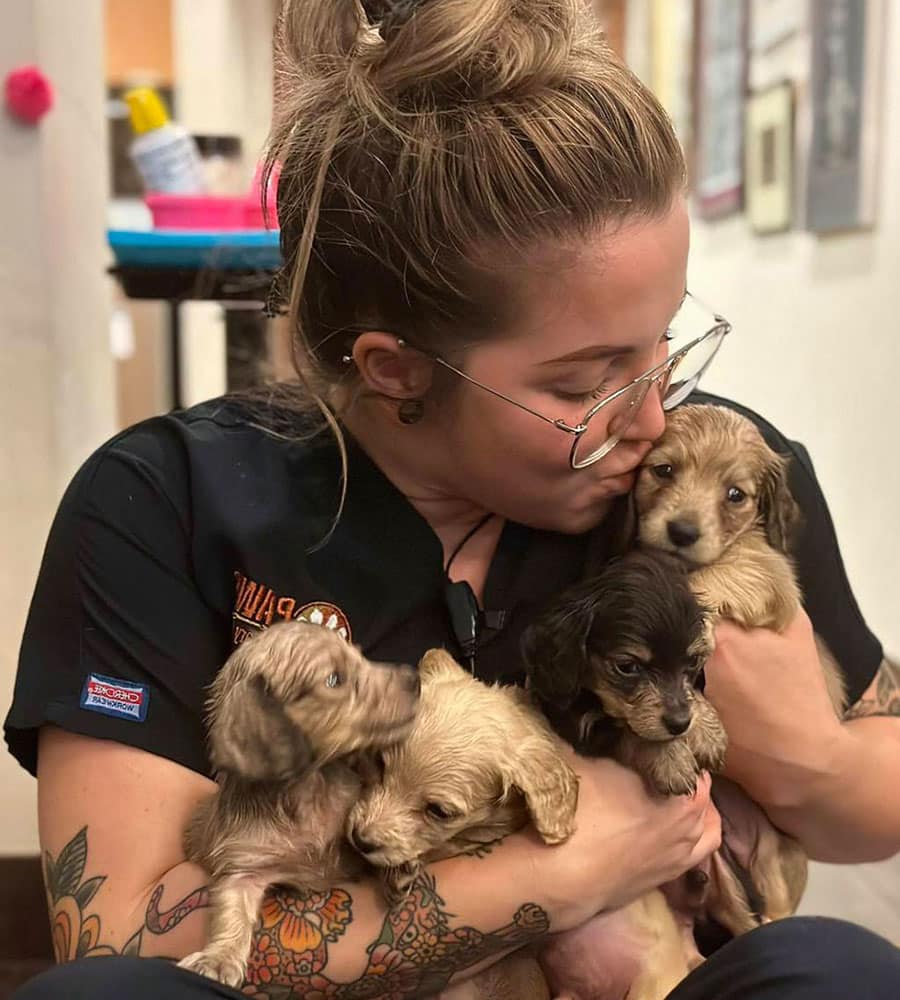 A veterinarian with glasses and a tattooed arm is sitting and holding four small puppies of different colors. They are smiling and nurturing the puppies, creating a warm, caring atmosphere.