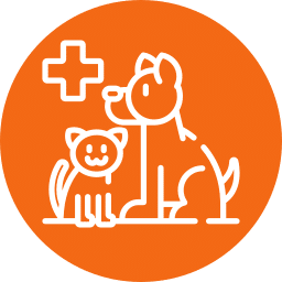 Line art illustration of a dog and a cat sitting together, with a medical cross symbol above them, signifying a vet's care. The image is set against an orange circular background.