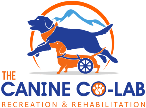 The Canine Co-Lab logo shows two blue dogs—one in a wheelchair—set against an orange circle featuring a mountain. Beneath, "Recreation & Rehabilitation" is written, with a paw print inside the 'O' of "CO-LAB," reflecting their focus on veterinary care and rehabilitation.